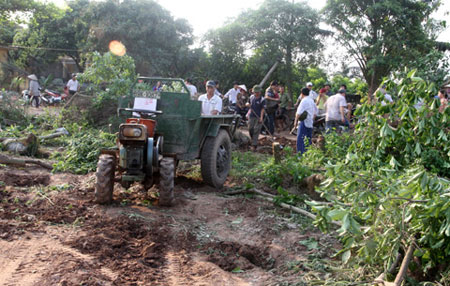 Người dân xã Xuân Quan thu dọn vườn cây cảnh sau vụ cưỡng chế sáng 24/4. Ảnh: Vnexpress 